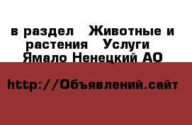  в раздел : Животные и растения » Услуги . Ямало-Ненецкий АО